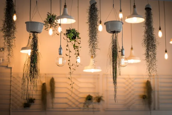 Innovative Lighting Products That Elevate Your Australian Home DesignIllustration