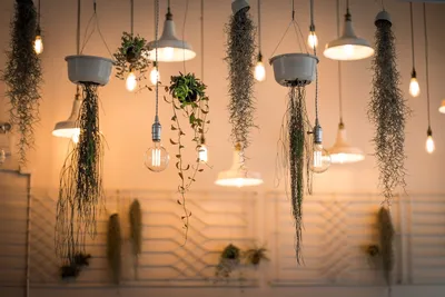 Innovative Lighting Products That Elevate Your Australian Home DesignIllustration