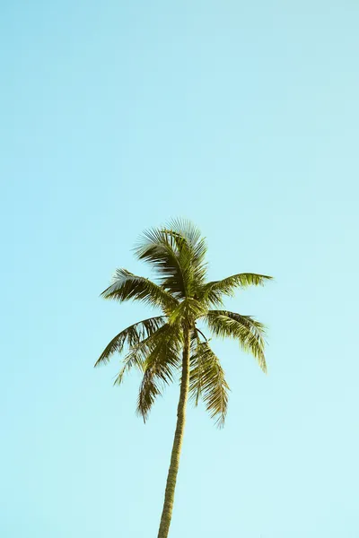 Artificial Palm Tree for DIY ProjectsIllustration