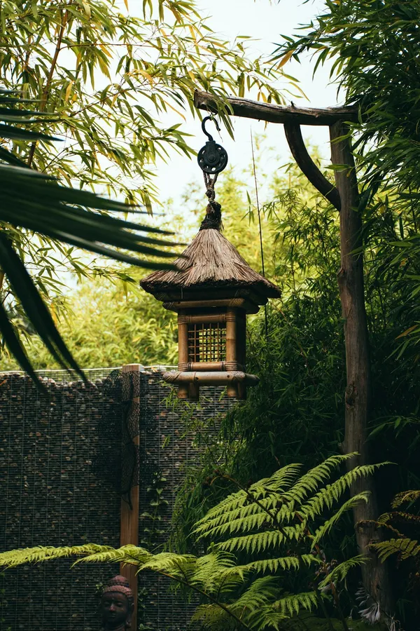 Transform Your Backyard with a DIY Zen GardenIllustration
